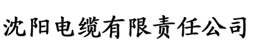 干片网连续剧电缆厂logo